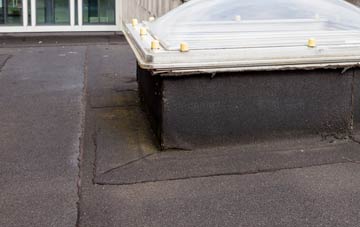 disadvantages of Bishops Caundle flat roofs