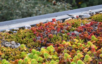 the cost of Bishops Caundle green roof installation