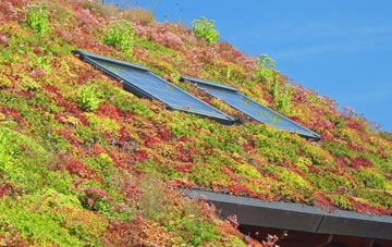 Bishops Caundle living roof systems