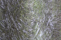 Bishops Caundle fibreglass roof work